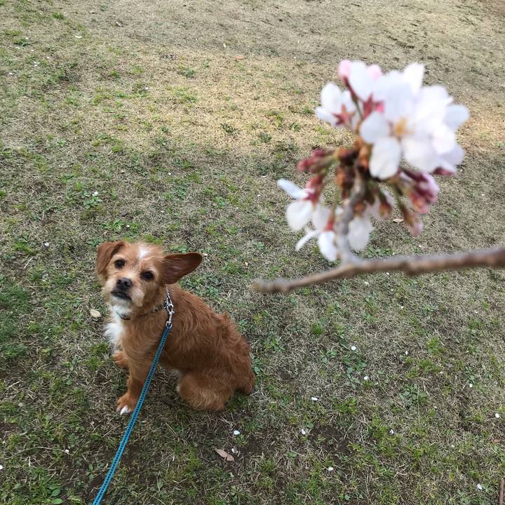 C3ecec59 66aa 4437 ad0b a7b64beded6a 1584871720837