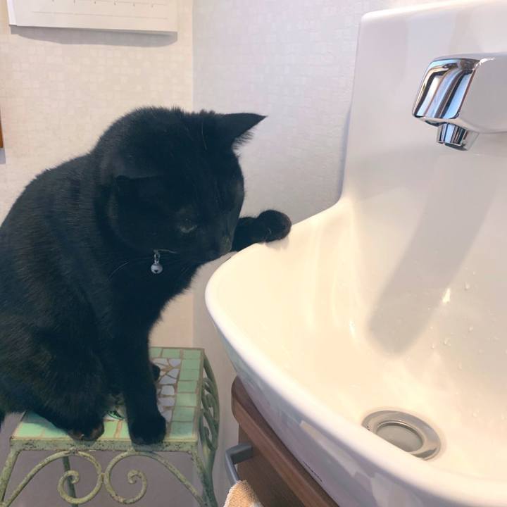 C3ecf904 2565 49bf afac 7a7d3fae77e2 1575383556118