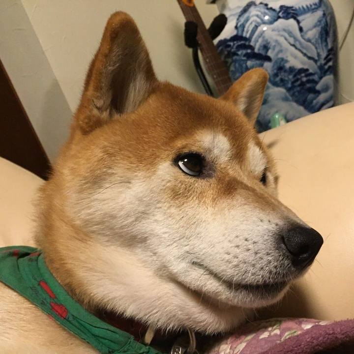 C3ed1256 7024 48bd 91b7 a59f61bd8667 1622633824656