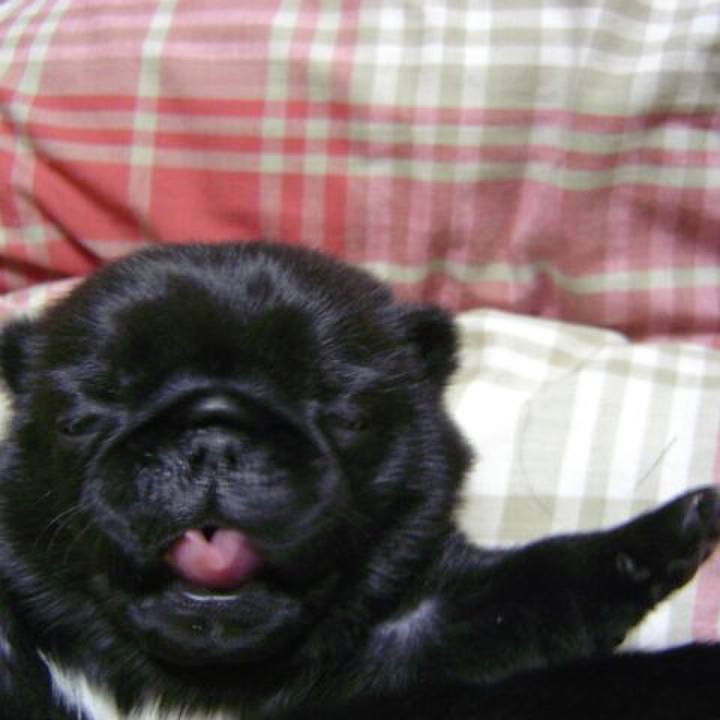 C3ed1d8c 3bd7 4688 b3a6 e081cbe6dfda 1543213931734