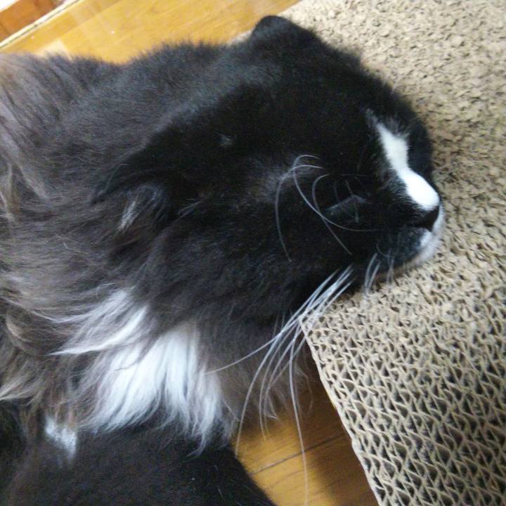 C3ed22da c3f4 480c ab97 8e19115f3b15 1656856481412