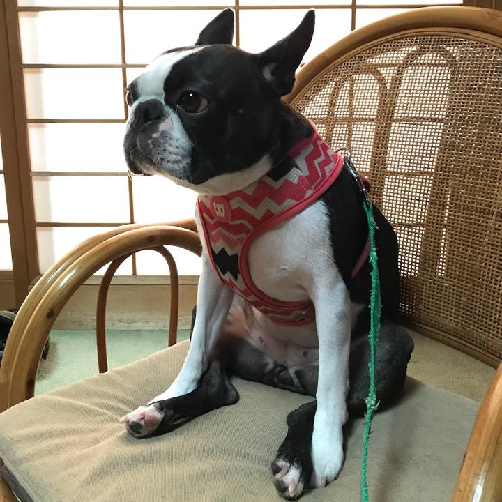 C3ed86e3 c890 4dee bd07 e193443701c2 1566714735797