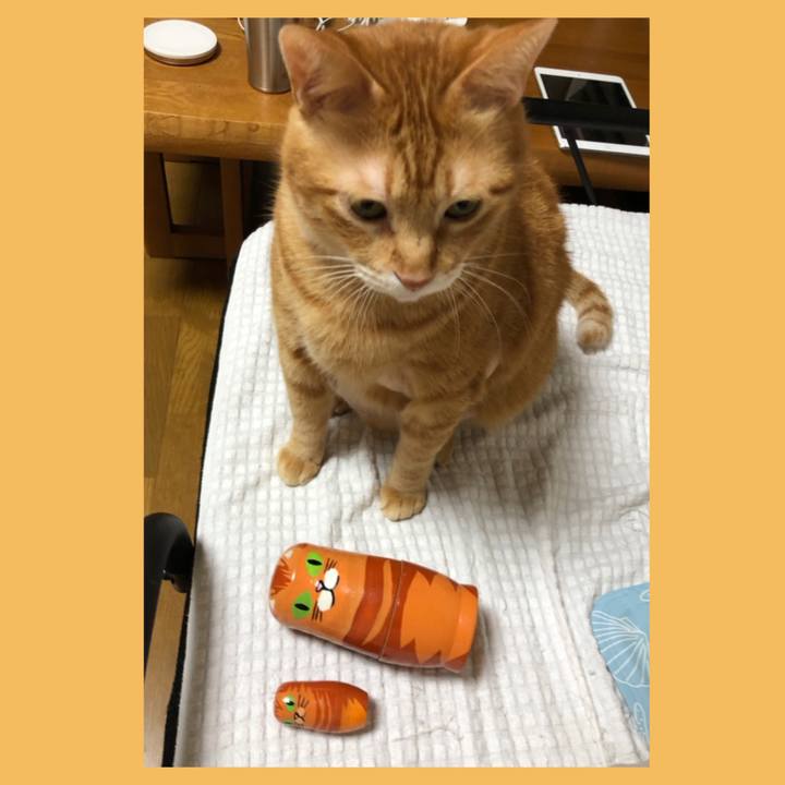 C3eddf2f dda9 4015 b40f 6257e1accd8f 1629285327102