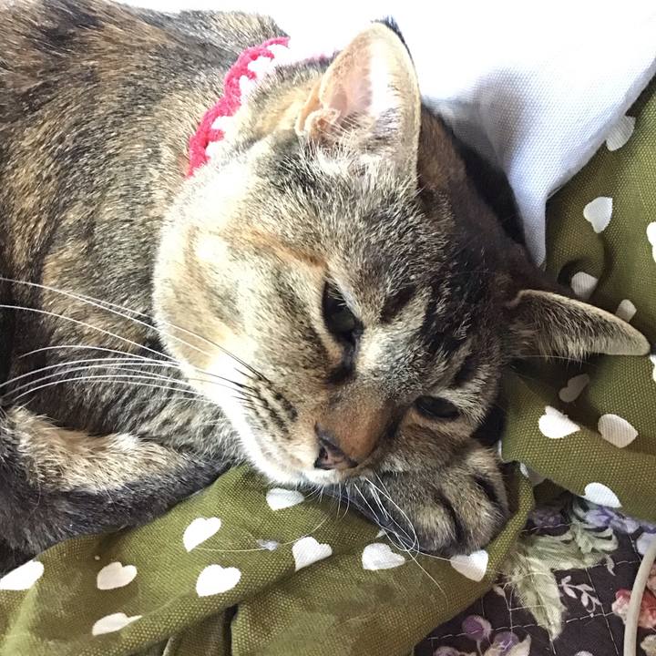 C3eddfb3 e332 4620 b27a df19c54f36d9 1680512613822