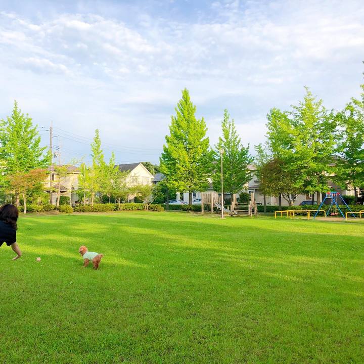 C3ede4de 4c7b 4c79 9c02 35245948c95c 1562106368667