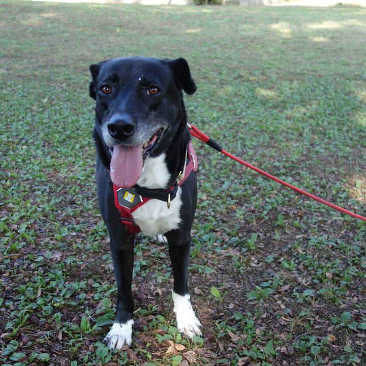 C3edeb10 d8f9 4fb9 ad1f d20d79be8381 1698367474091