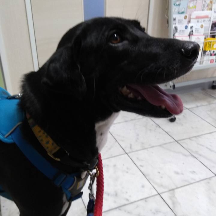 C3ee3a17 538b 4316 8f89 6cec901a76e1 1610025607778