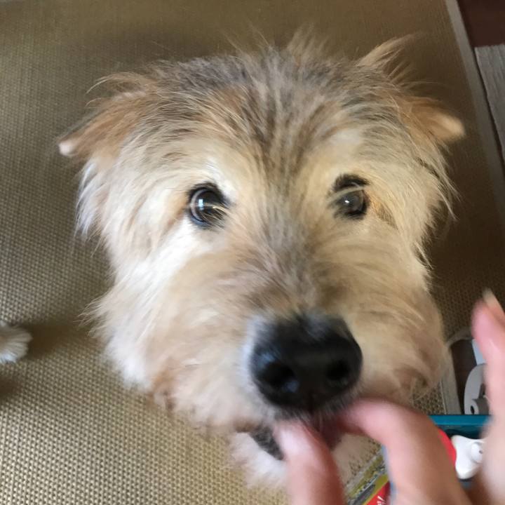 C3ee812b d0ff 42b5 9c58 f3eaf63540bb 1634093030213