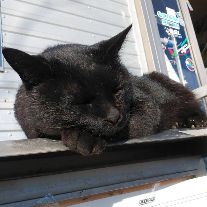 C3ee860e 3efa 457d 8b47 affffb9a6b1f 1608264119613