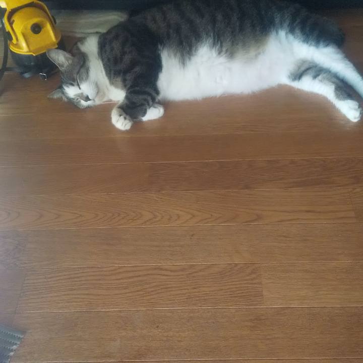 C3eef183 4ef5 4316 bbb3 bf364822c0aa 1695787584514