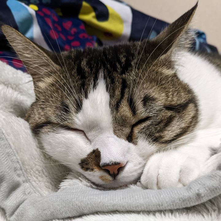 C3ef00d7 a4a2 47ba 8f04 da001d847df6 1667043540620