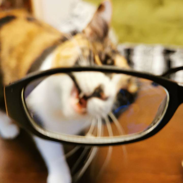 C3efa294 0126 4986 b66e d40cf9f6a8c9 1675488218787