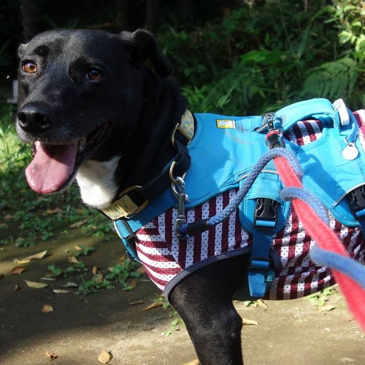 C3efb36f b2d4 467b 973a 4efa26a94b37 1624837344867