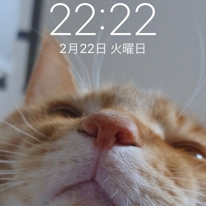 C3effd23 cb54 49a0 8fc9 658aaffa6bf1 1645543494142