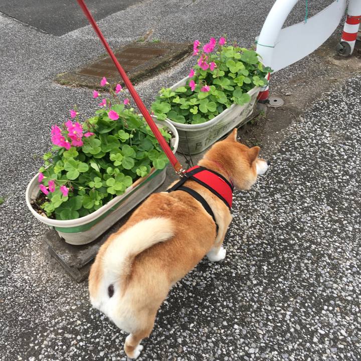 C3f00633 d128 4841 b039 3e39f8722698 1603339241154