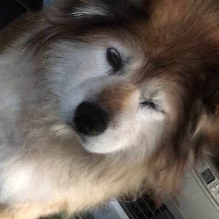 C3f00ab7 ab49 49ce 93ac 445e05dc00d7 1576531106198