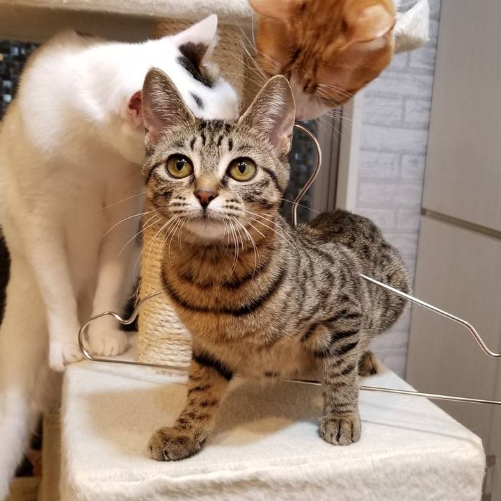 C3f02299 44f8 4929 84f3 acdd7ea76818 1546336951047