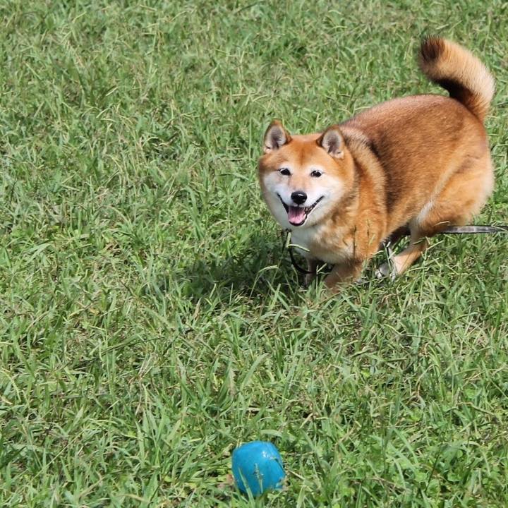 C3f02778 8e6d 4d55 b94c 3d1398ab8a5f 1539056983061