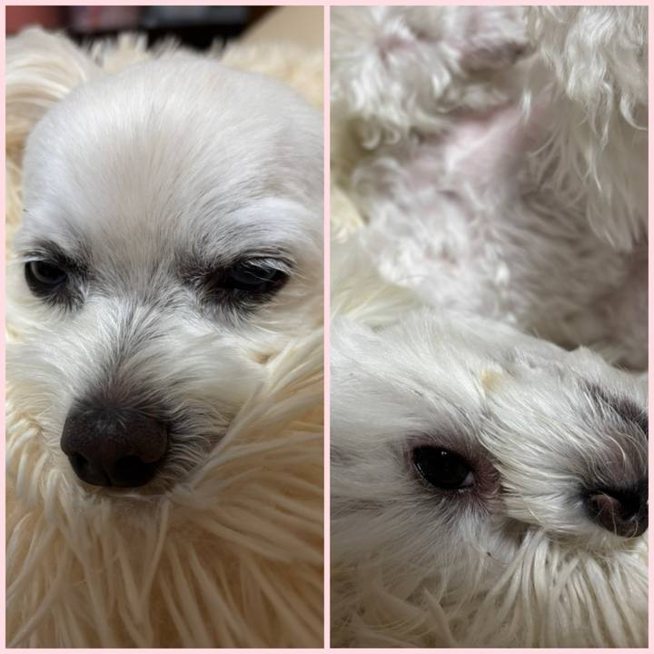 C3f02780 4924 49d0 b1e3 c991f13fe0eb 1748691870896