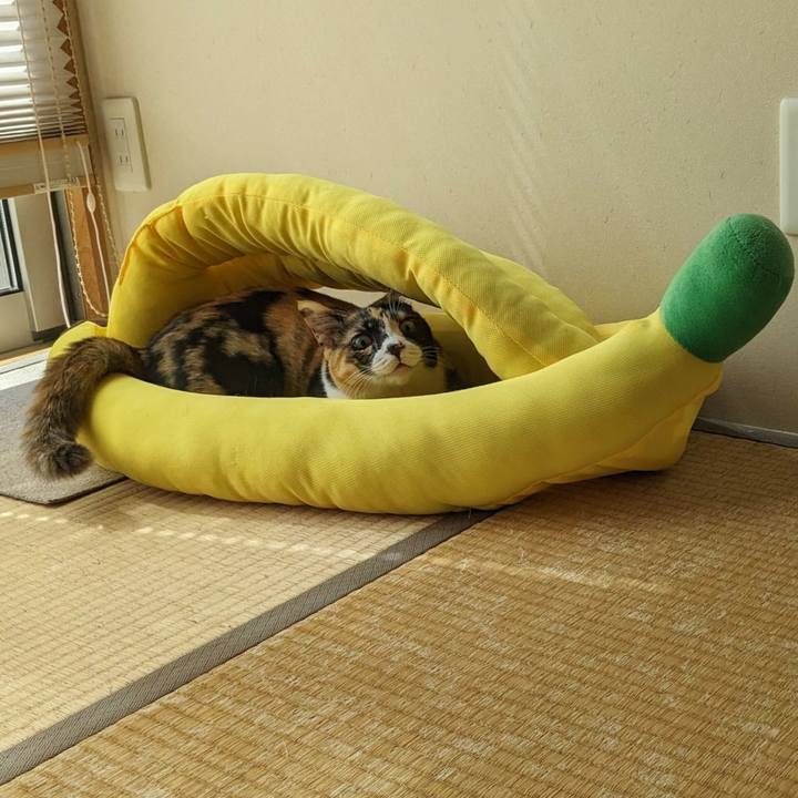 C3f0542f 2a7f 4a9e ae03 4a47af637845 1686544607917