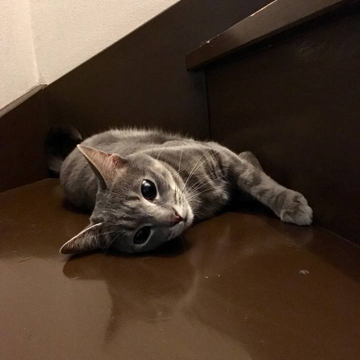 C3f06927 8636 435b 8b93 cea9b086ed97 1524743016117