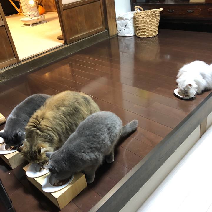 C3f09701 9650 472a 81f0 1cb3b2076621 1555496850760