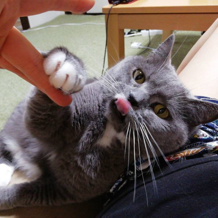 C3f0d8a6 3713 4382 b05a 32f36610e1bd 1720860988161