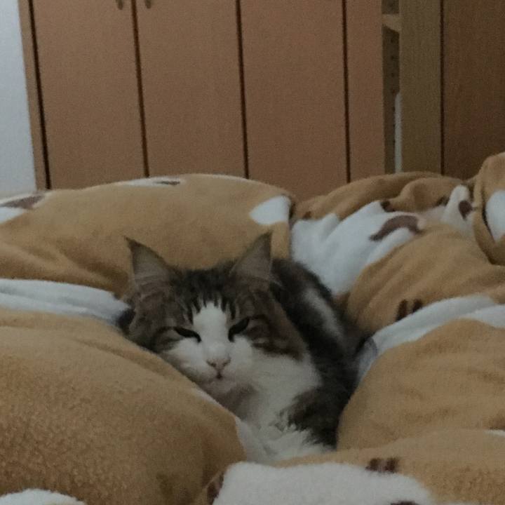 C3f0fb8d 5c40 415f a742 868a812c39d2 1510356287365