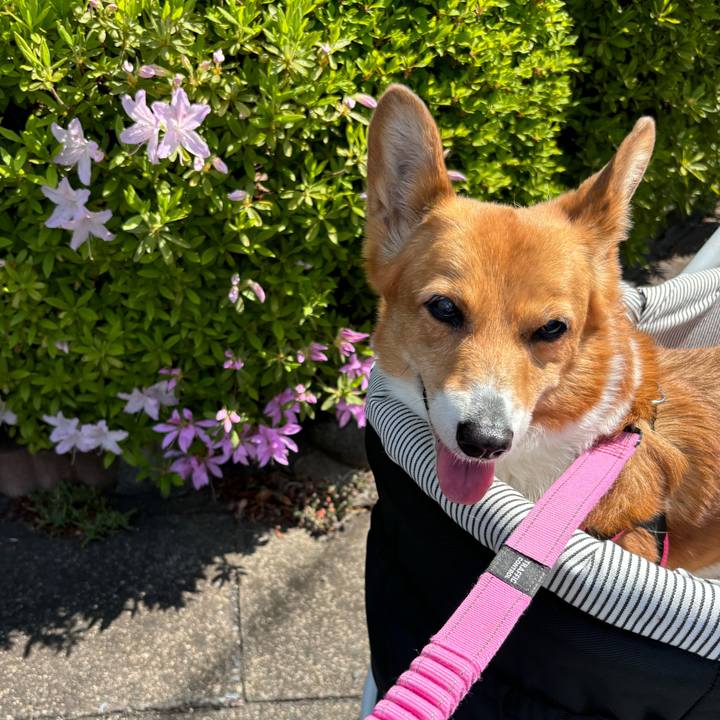 C3f130b0 cb49 4eb4 83d2 038ee0f3a755 1745200475516