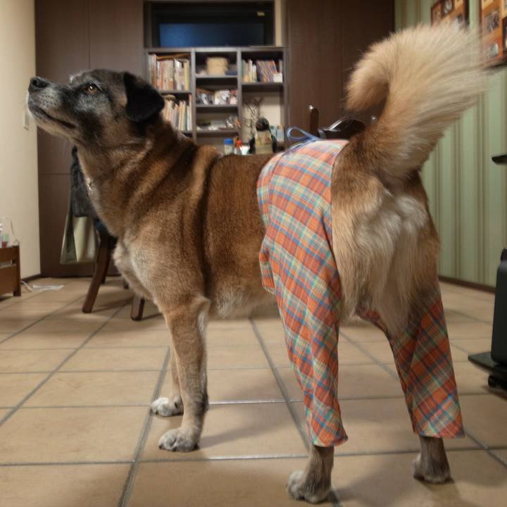 C3f17317 36e9 4d4c 9ee8 a5d62e0e59f1 1682037520364