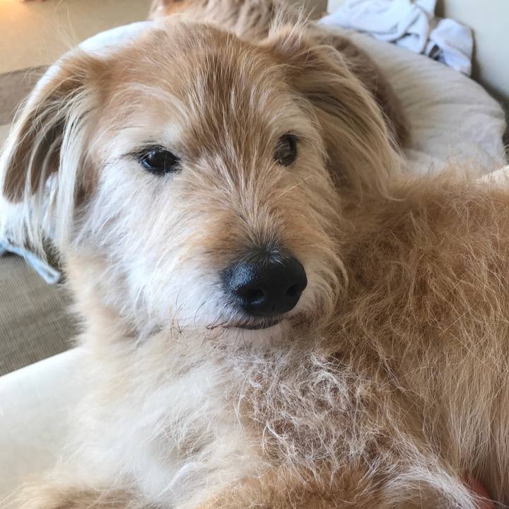 C3f19e57 1beb 4ca5 bab7 fbd431182da9 1586962753031