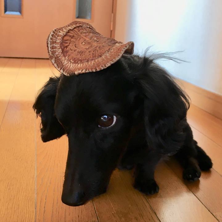 C3f1b1f0 3305 4eb5 8a22 cd69a50d1e27 1510794265158