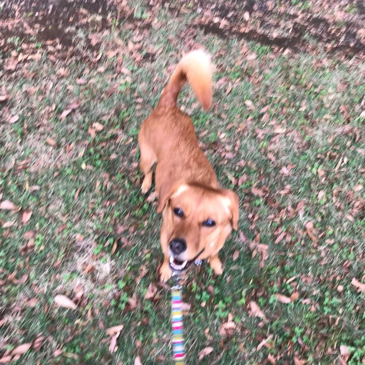 C3f1e96e 10ae 4cd7 8379 885c7d2bef62 1539781378707