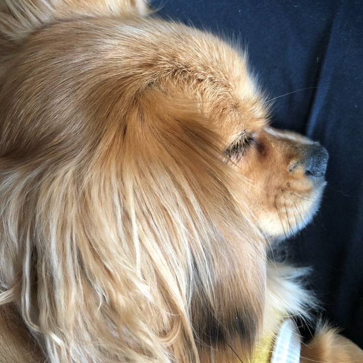 C3f27558 829e 4d58 bc56 42fc69e89176 1521353457364