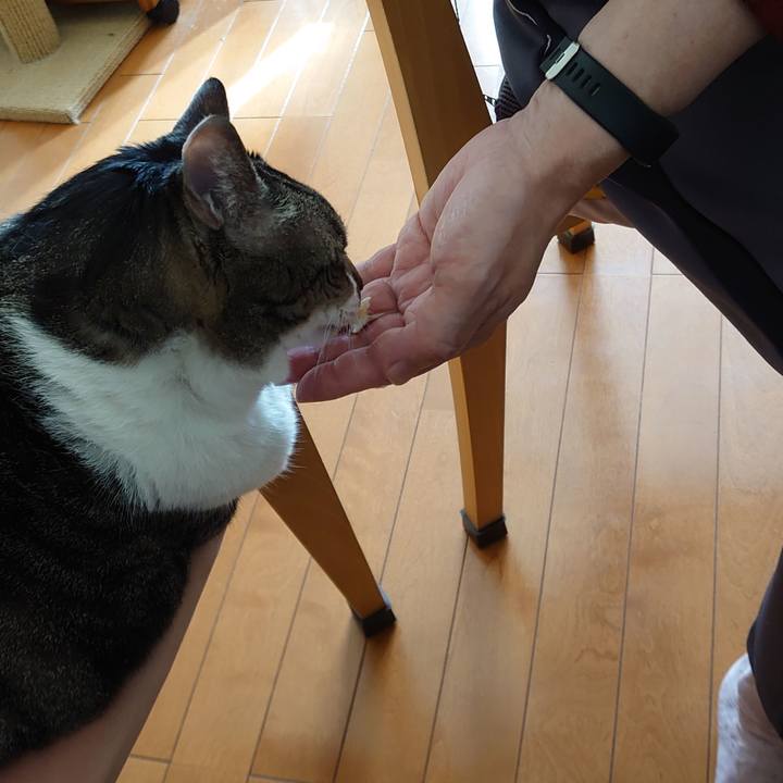 C3f27a1e 1bda 41a9 8b87 795b6298d675 1636165311410