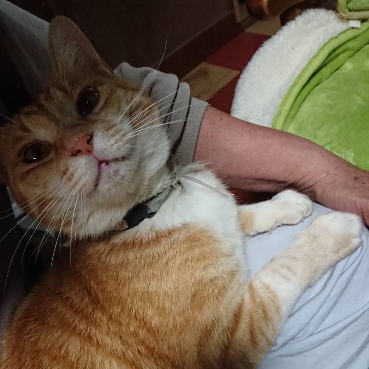 C3f29c25 2a60 4257 bfca 8eb0f3ffcef9 1589454539100