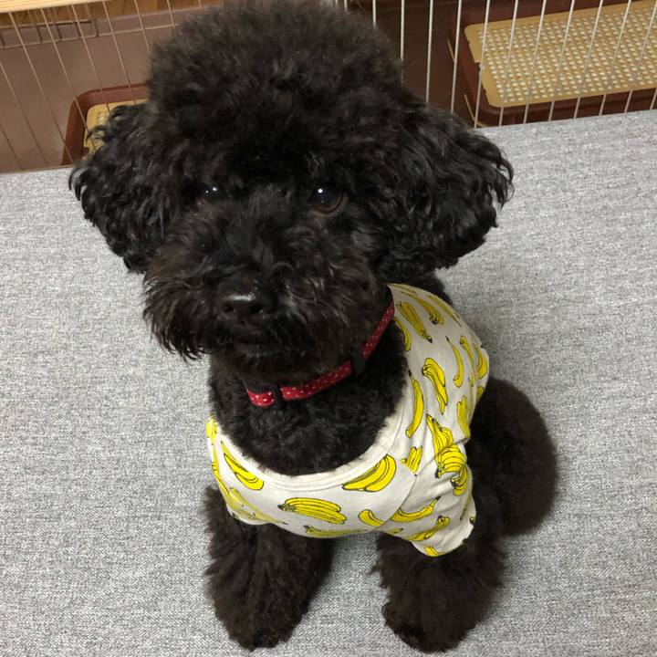 C3f29d18 e75b 48f8 9584 e70a77dfc1a6 1571957544293