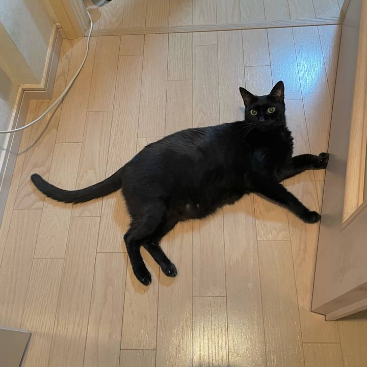 C3f2bd8d 5a6a 4824 b31b 7c230f642c92 1757590921073