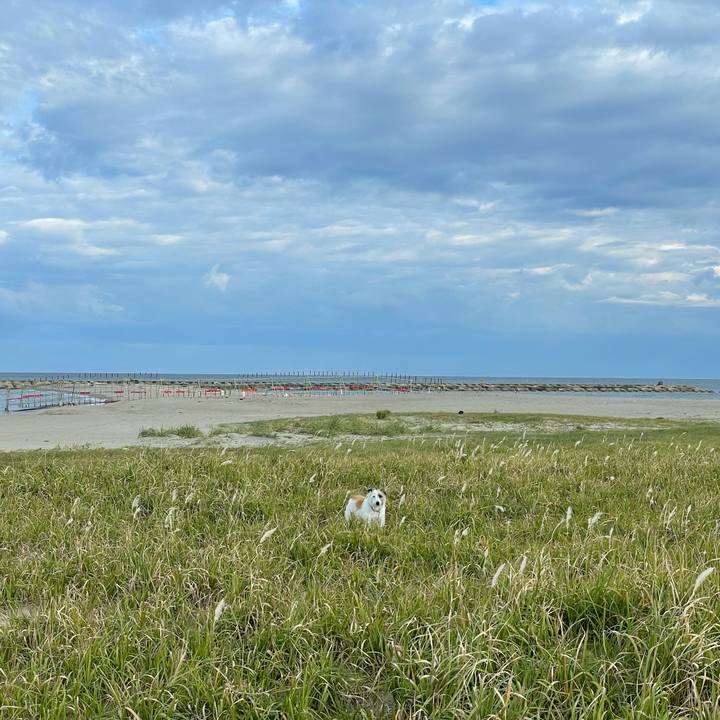 C3f2bf3c 6cc8 415b 83c3 3ea1ff790dc6 1633909590217