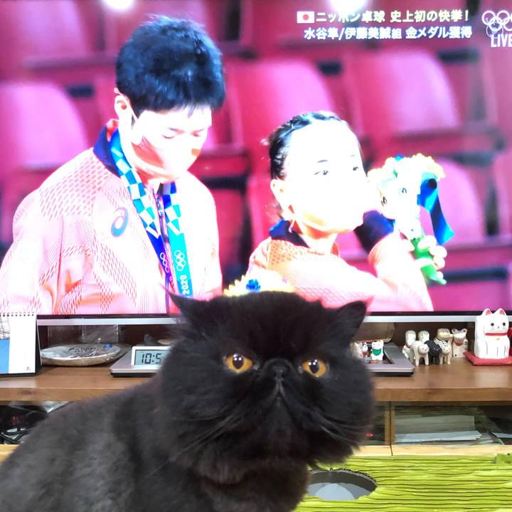 C3f2f01c be30 4eb8 bd3c 8c807b421723 1627307897915