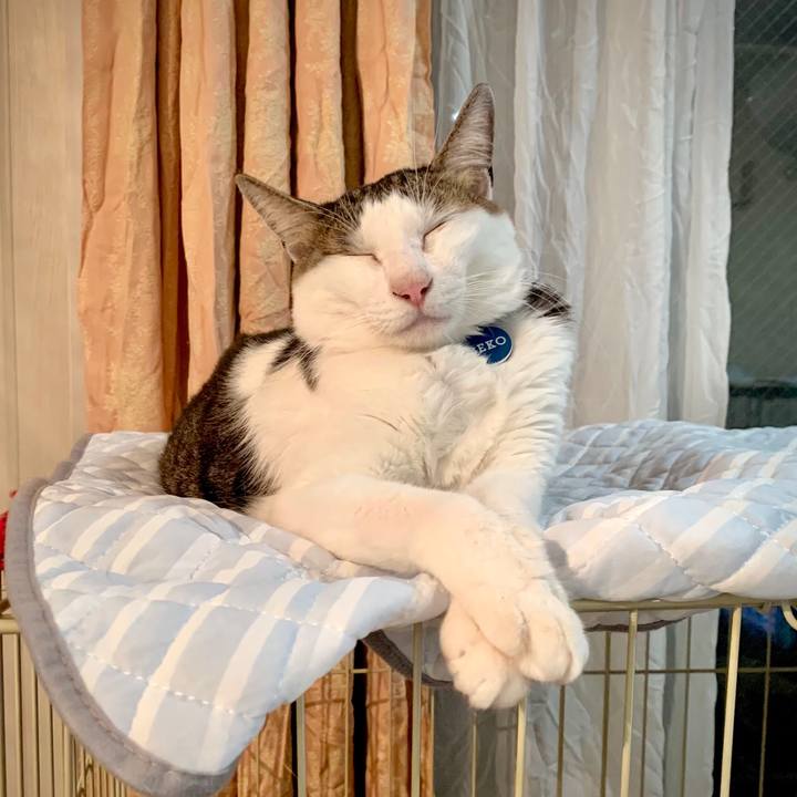 C3f309f8 75ca 4a92 b95c f6d59f91fc04 1631196598942