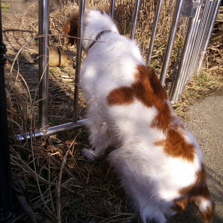 C3f31025 2c5b 49ef a69f 546ef6ea456a 1518336735698