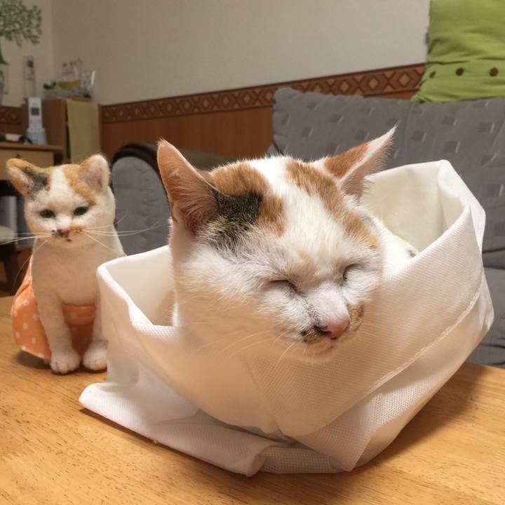 C3f32e46 c2cd 45f9 9282 17746559e1a3 1527422179651