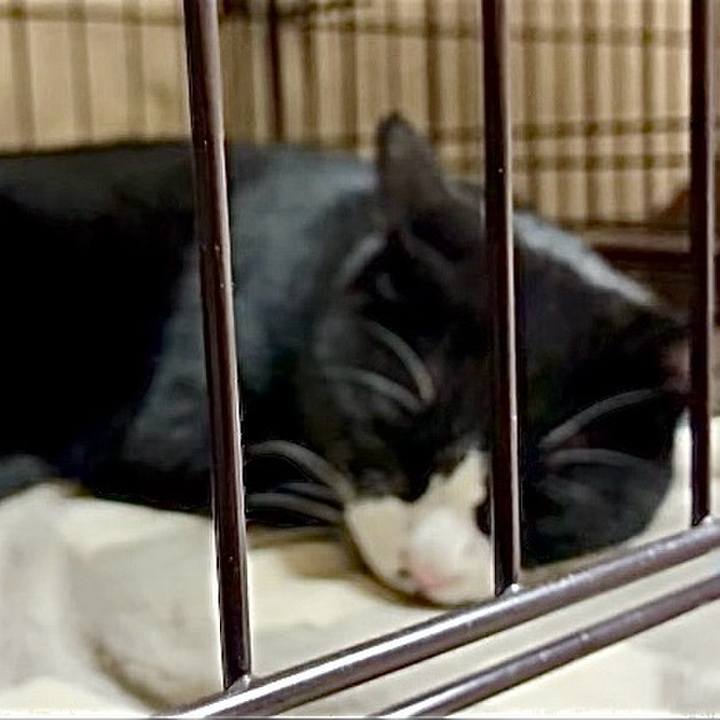 C3f32f86 2347 49b2 bd36 2bc622092ba6 1765015577393