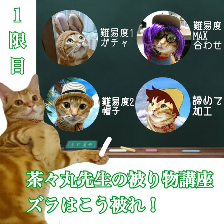 C3f392a6 b915 4d15 95c9 6aae2ac80648 1567551911648