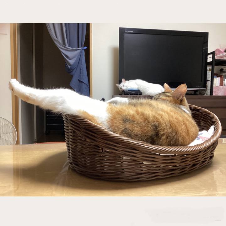 C3f39bc7 0f5e 4192 952d 71567f992a34 1699316624147