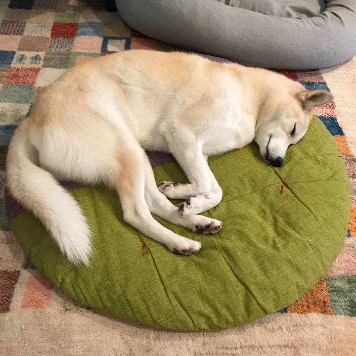 C3f3a47f 4ce9 4198 82ec b2b2b6e8d31f 1548327867046