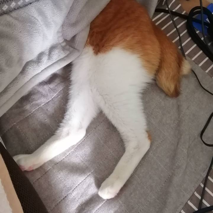 C3f3b179 f4e8 458c ac5f c9c7570d2efa 1587796604429