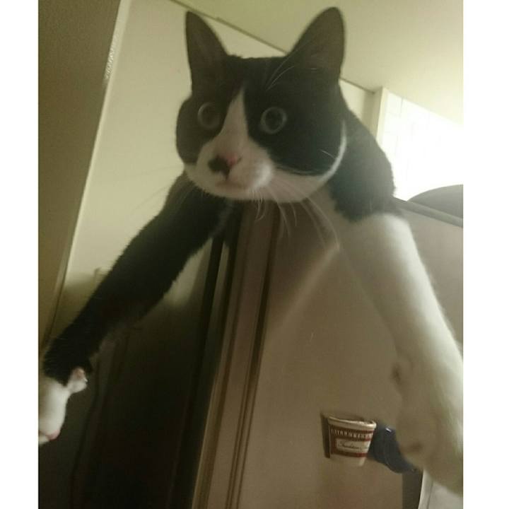 C3f3b2f3 3d7a 4de3 8bed 0eef5f250c65 1529239345951