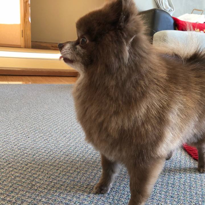 C3f3db23 c8fe 4aff ad66 8d773602673e 1546129942636